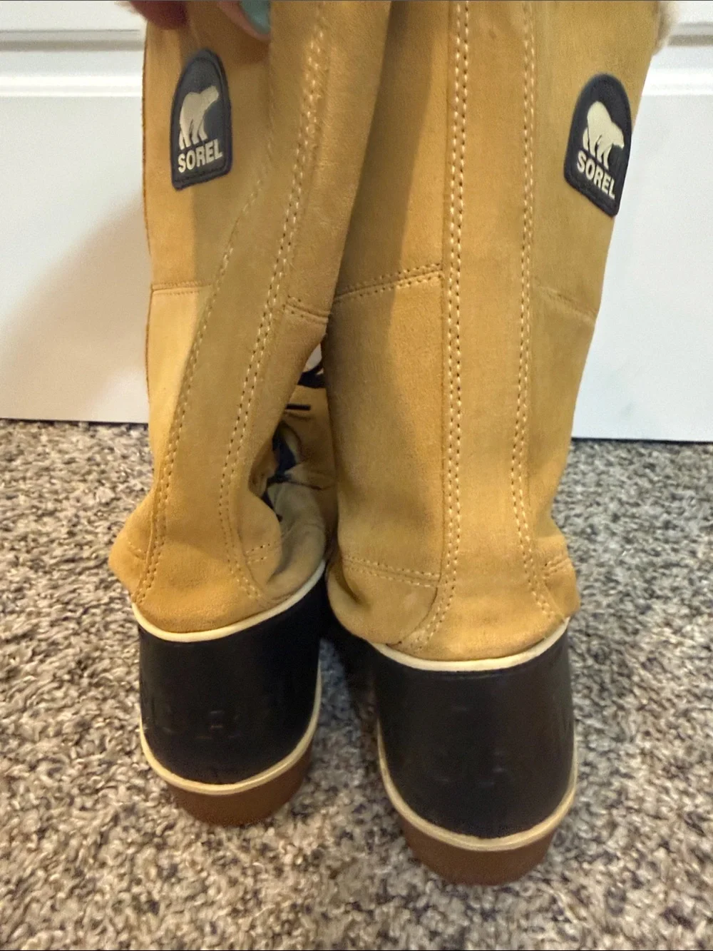 SOREL Womens Curry Leather Tivoli IV Waterproof Tall Snow Boot  Size 9